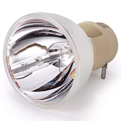 GreenBale Beamerlampe für BenQ W1070 W1080ST W2000 W1070+ W1080ST+ W1250 HT1075 HT1085ST MH630 W1210ST W2000+ HT2050 HT2150ST HT3050 5J.J7L05.001 5J.J9H05.001 5J.JEE05.001 Ersatzlampe Beamer Lampe